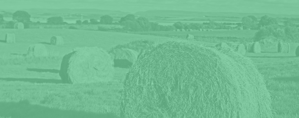 Teagasc: SMS for Organisation-wide communication