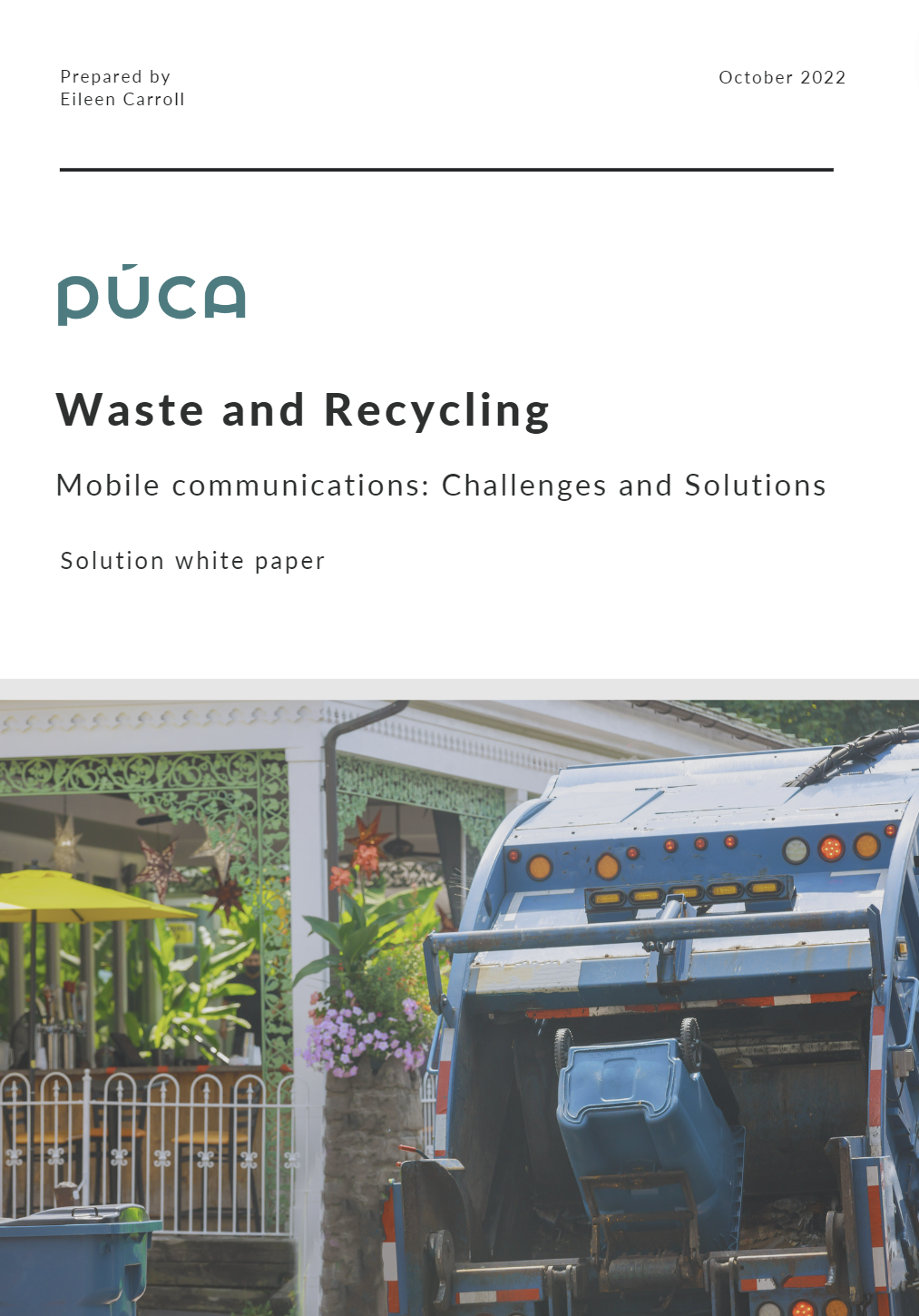 Sector Solutions: Waste and Recycling ebook